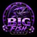 BIG Fish Game