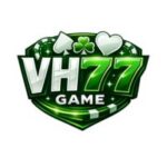 VH777 Game